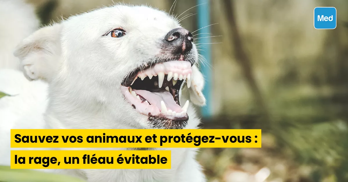 Sauvez vos animaux et protégez-vous : la rage, un fléau évitable